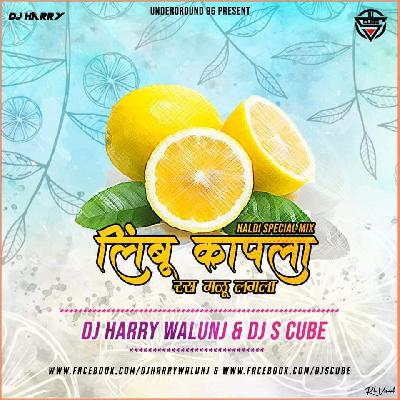 Limbu Kapla (Remix) Dj Harry Walunj & Dj S Cube